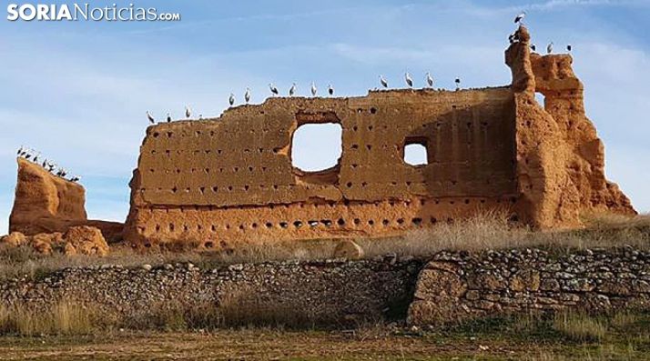 Cigüeñas en el castillo de Serón de Nágima a finales de diciembre. /SN
