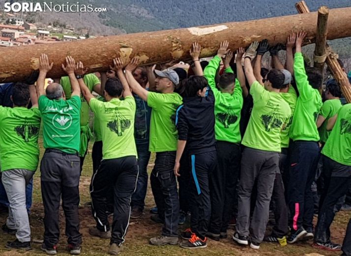 Una pingada del mayo en Covaleda. /SN