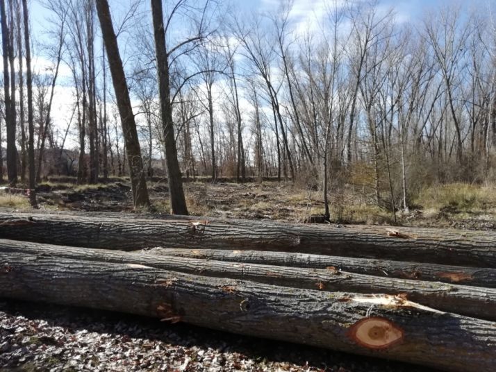 El PSOE de Almazán recrimina a De Miguel las actuaciones en La Arboleda