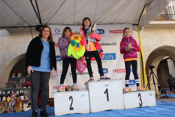 Virginia Barcones, delegada del Gobierno de Castilla y León. 