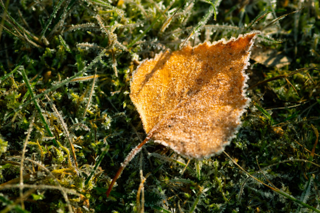 La AEMET avisa de que el frío se intensificará en los próximos días