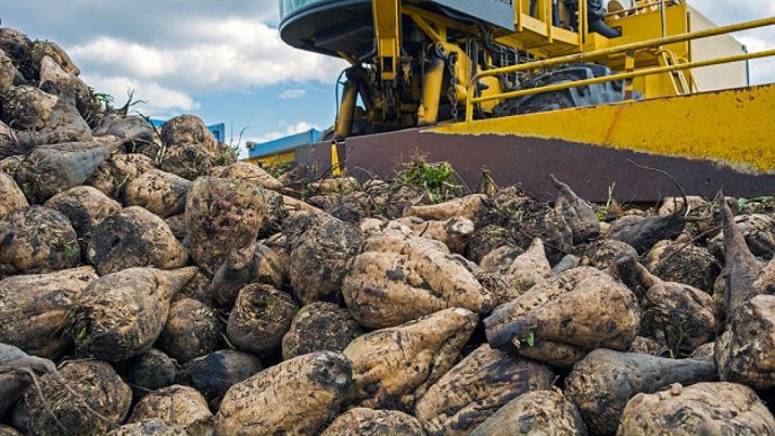 La remolachera ACOR buscará producir bioplásticos en su planta de Olmedo (Valladolid)