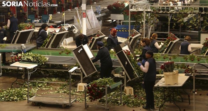 Una imagen del interior de la planta de Garray. /SN