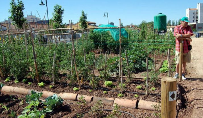 Los huertos municipales abren el plazo de inscripción para vecinos en general 
