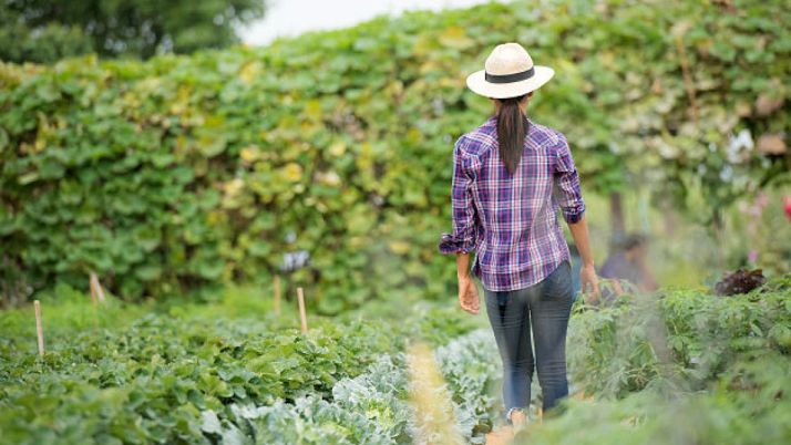 CSIF llama a parar una hora el día 8 para denunciar los incumplimientos en materia de igualdad
