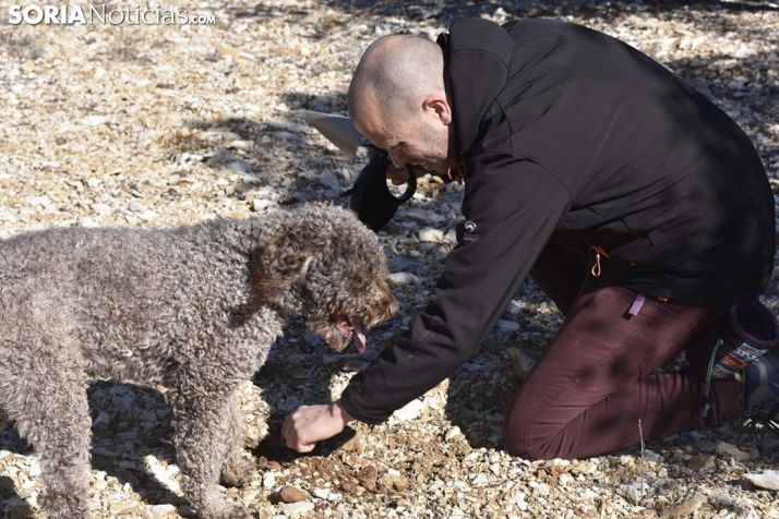 FOTOS Y VÍDEO: El olfato de oro de los perros busca-trufas