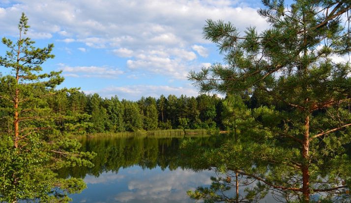 Prorrogado por 1,2 M€ el contrato de la Red de Control de la Calidad del Aire de CyL