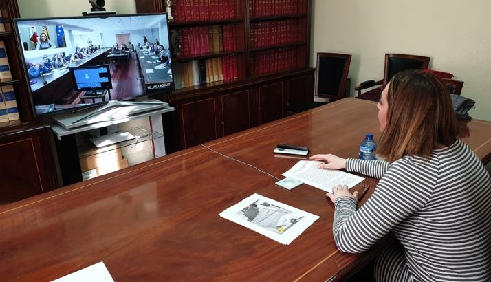 La delegada, en su internvención on line durante la jornada. /SdG