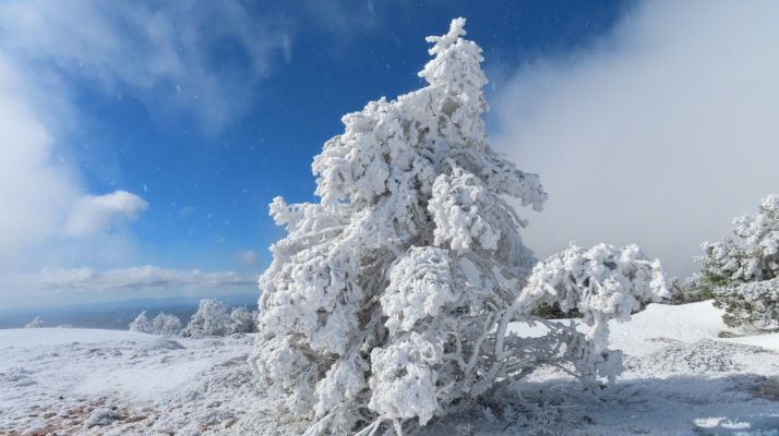 Una de las imágenes captadas por Sandoval. /AS