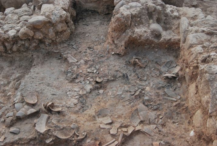 La Junta restaurará las cerámicas monocromas de Numancia