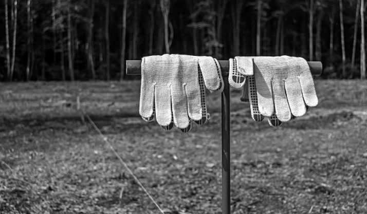 El plan de empleo forestal ha dado trabajo a 1.300 personas en 3 años en CyL