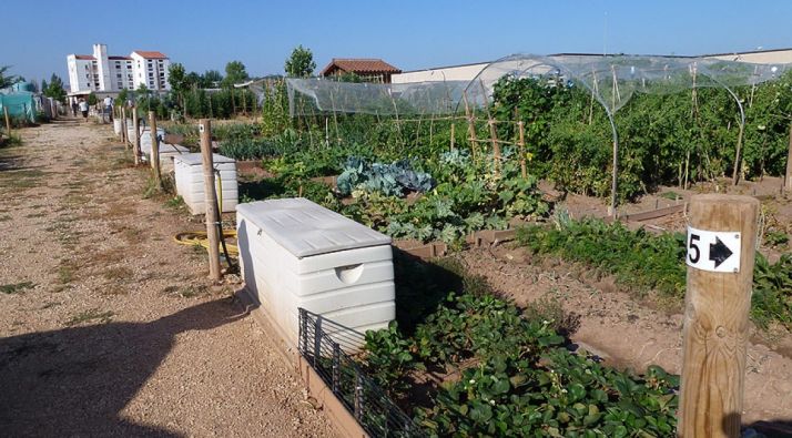 El sorteo de los huertos municipales, el 26