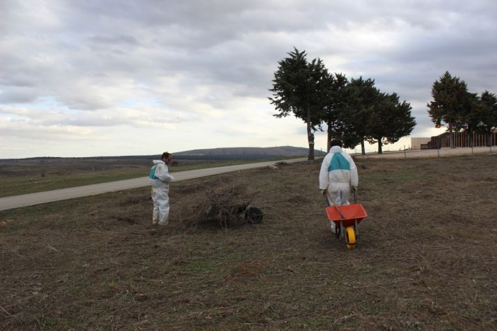 Tierraquemada inicia las labores de mantenimiento del yacimiento de Numancia
