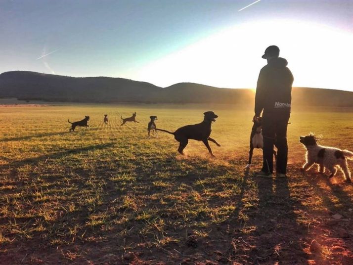Jorge García, en una sesión con sus perros bajo el atardecer soriano. Jorge Gracía