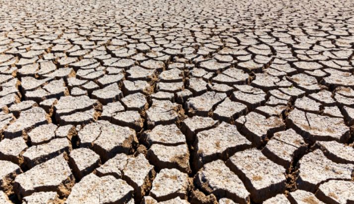 ASAJA pide a la Junta que abone ya las ayudas a los intereses de préstamos de la sequía pedidos en 2017