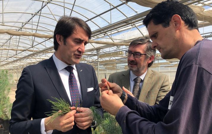 El consejero de Fomento y Medio Ambiente, en su visita al vivero. /Jta.