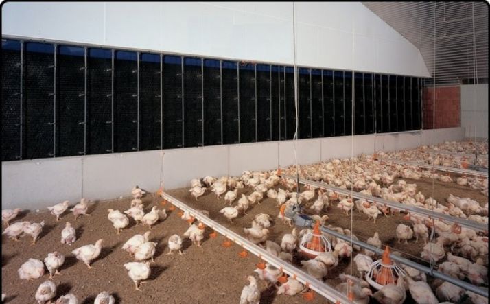 Aprobada la modificación promovida por Avícola El Charcón en El Burgo