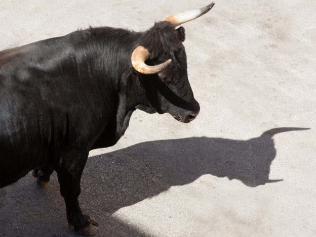 Coloquio taurino, este sábado en el Casino
