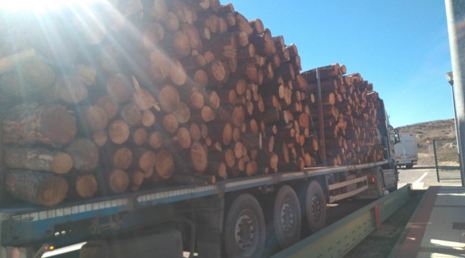 La Guardia Civil detecta un camión que transportaba madera circulando con un exceso de 11 toneladas 