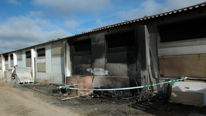 Imagen de la explotación tras el incendio. /GC