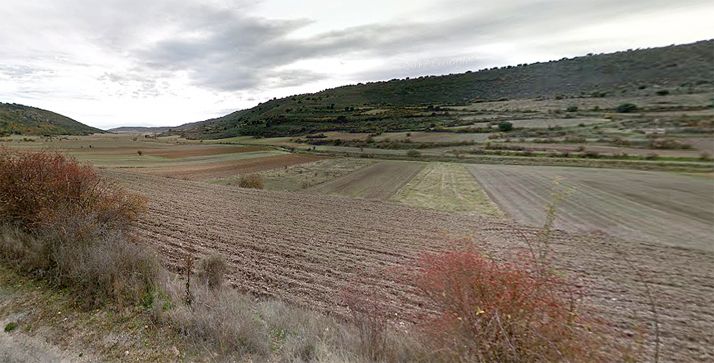 Terrenos de cultivo en las cercanías de Fuentegelmes. /GM