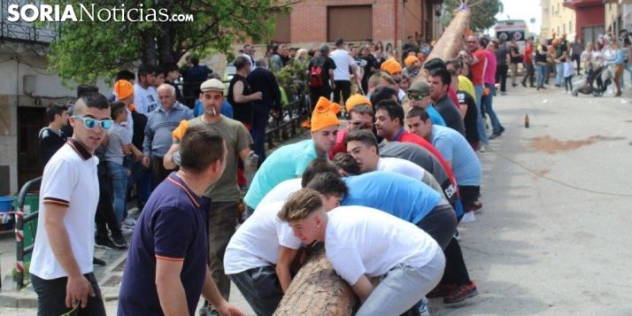 Pingada del Pino Mayo en San Leonardo.