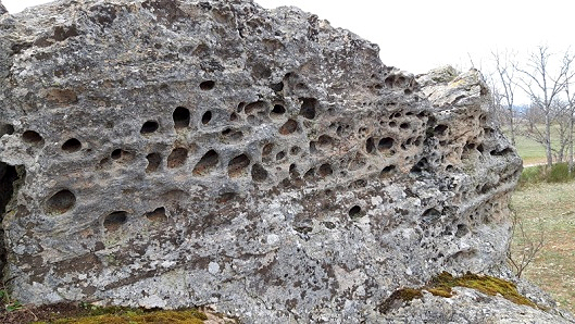 Taforis o nidos de abeja en El Bustarejo. 