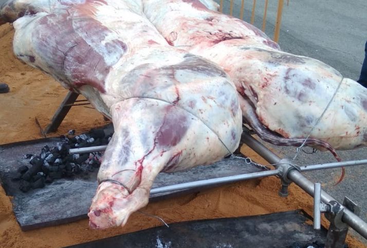 La ternera soriana se hace protagonista de la Feria de Almazán de la mano de Asaja