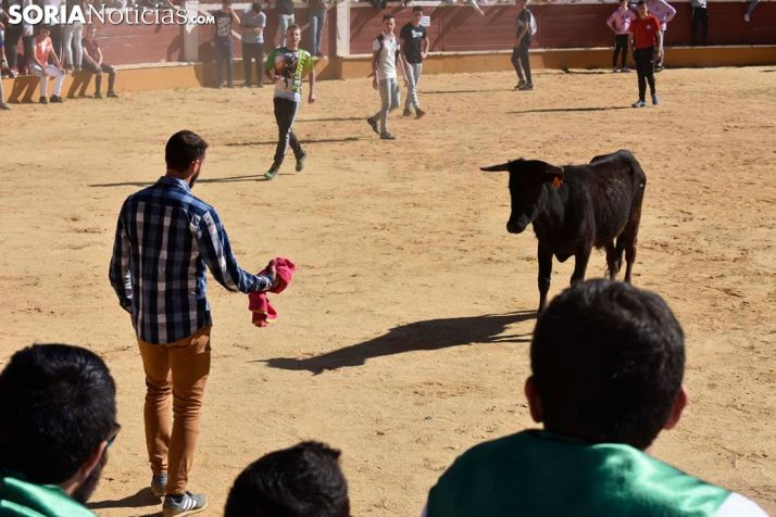 GALERÍA: Tarde de vaquillas para los peñistas sorianos