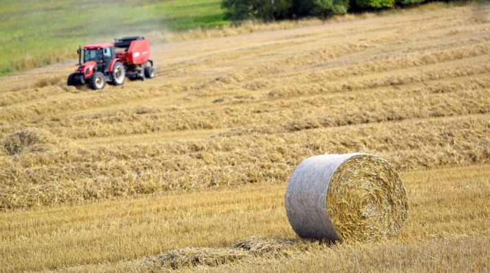 8,1 M€ en ayudas para la suscripción de seguros agrarios