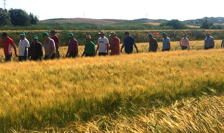 Mañana, la visita anual de ASAJA a los campos de ensayo de Almazán