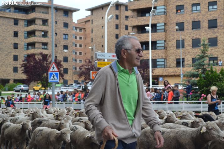 Cencerros de la Trashumancia en la capital. Oveja que bala, bocado que pierde