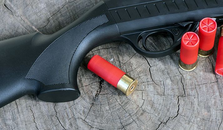 Aseguran que el uso de la munición de plomo no repercute en las aves cinegéticas