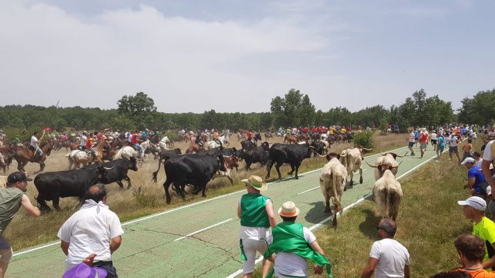 La Saca 2019 entra en Soria.