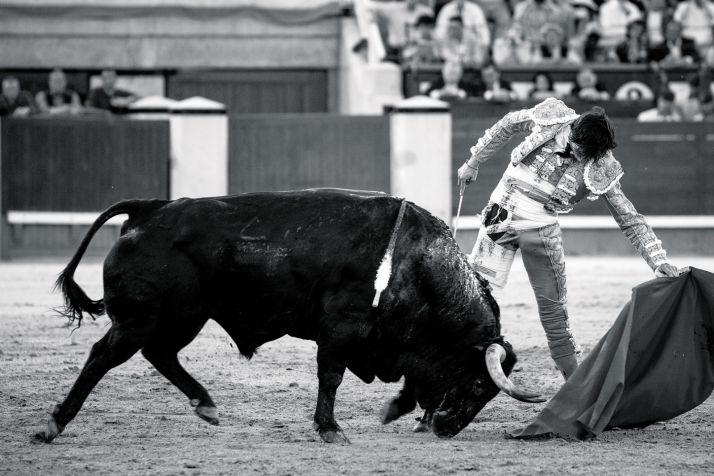 Roca Rey, referente actual del toreo nacional, en la tarde de su puerta grande en Las Ventas / Rocarey.es