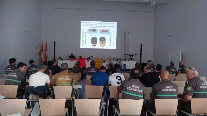 Cursos control avispa asiática.Junta de Castilla y León 