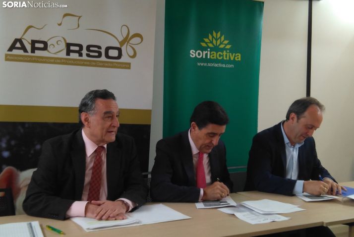 Pacto a tres por el porcino de Soria