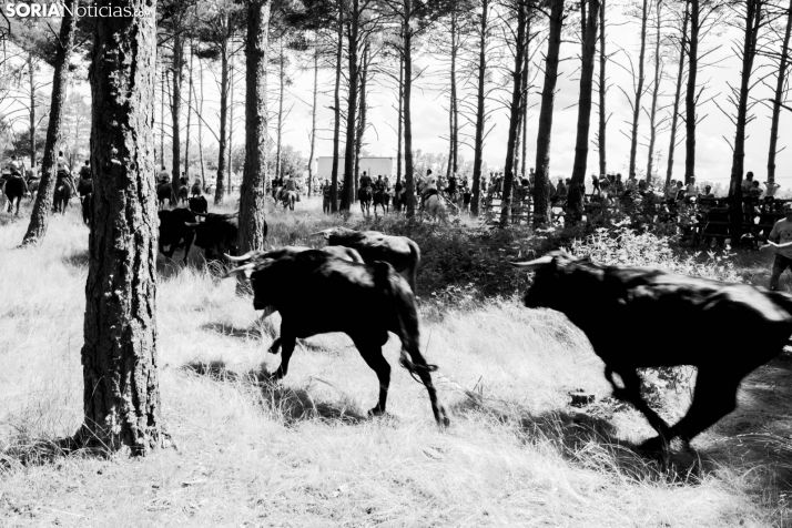 La Peña Poca Pena celebra el Concurso-Exposición de Fotografías Antiguas de las Fiestas de San Juan