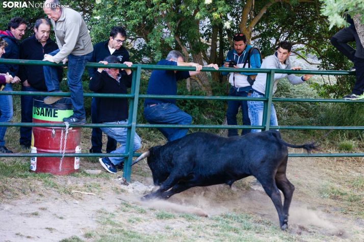 Galería de fotos: El inicio del Lavalenguas 2019 anima la pradera de Valonsadero 