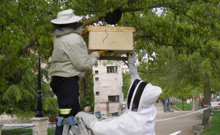 Intervención de los bomberos en el parque de Santa Clara.
