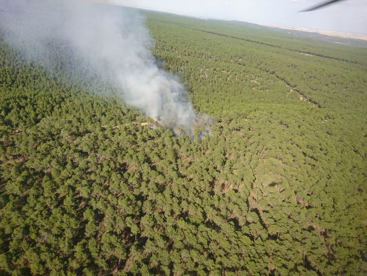 0,5 M&euro; para prevención de incendios en la comarca de Almazán