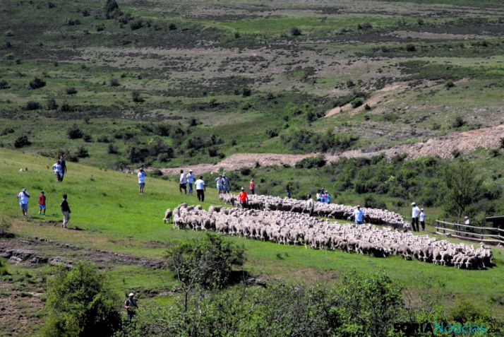 El regreso de los Trashumantes 