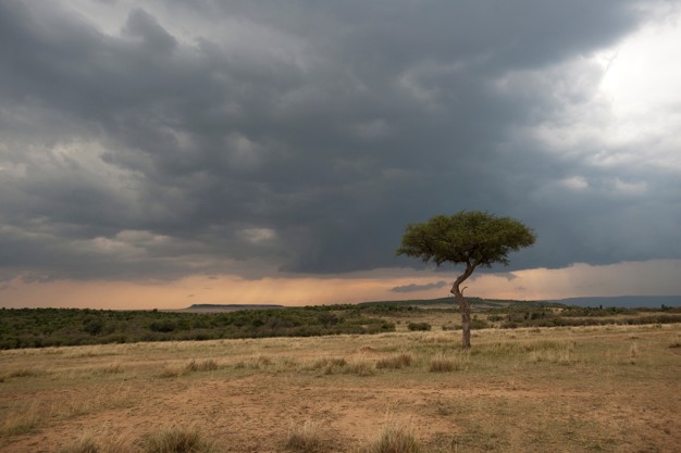 La Junta alerta sobre el aumento de partículas de polvo procedente de África y recomienda la toma de precauciones