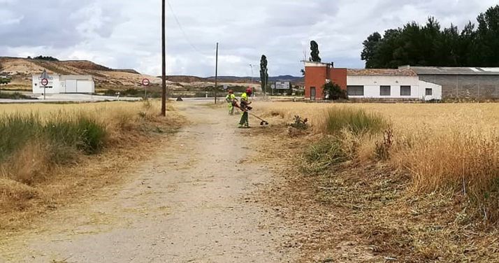 Las brigadas forestales provinciales actúan en Monteagudo de las Vicarías