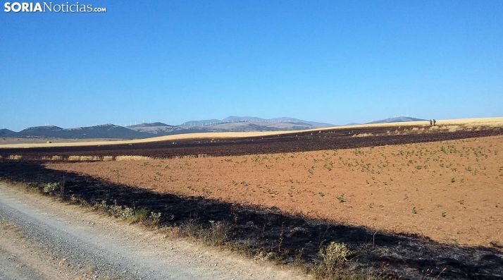 Una imagen del lugar del incendio. /SN