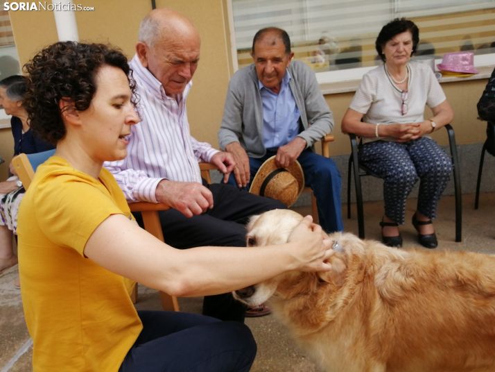 Canes y abuelos, una entrañable unión