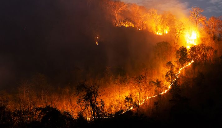 ¿Cómo funciona la lucha contra los incendios forestales en Europa?