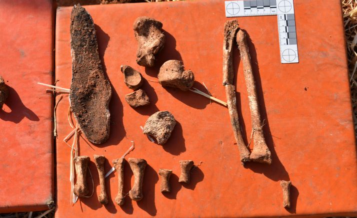 Hallados en La Riba de Escalote los cadáveres de dos personas represaliadas durante la Guerra