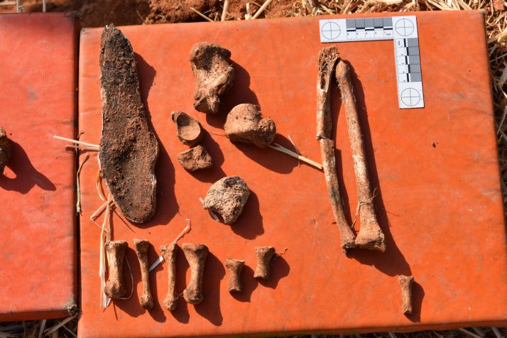 Recuerdo y Dignidad interpone una denuncia por Crímenes contra la Humanidad por los asesinatos de La Riba de Escalote 