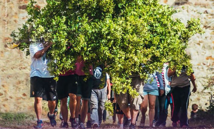 Imagen de la portada de la revista. 